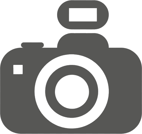 ANILLO Y PISTON STHIL ( FX160, FS220, FS280, FS450, MS180, MS210, MS250, MS290, MS361, MS381, MS380, MS390 MISMA FOTO)